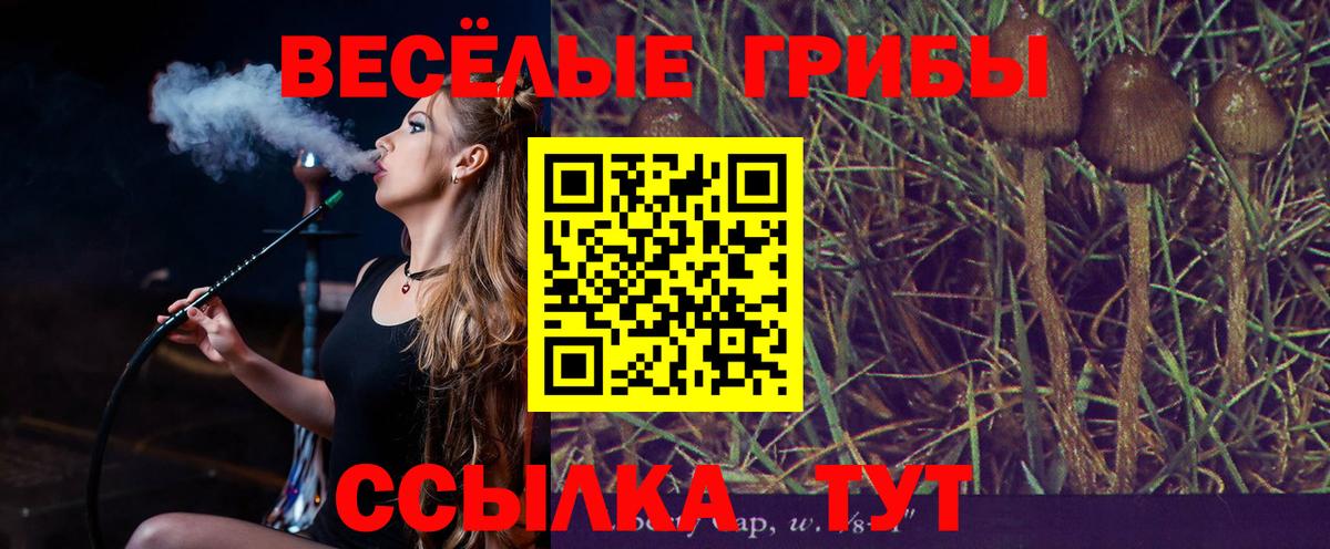 Семёнов  Псилоцибиновые грибы Cubensis  Вход с VPN 